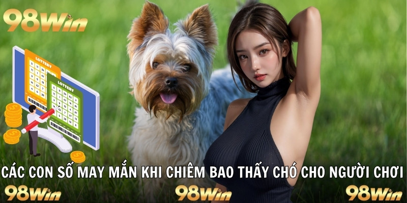 NẰM MƠ THẤY CHÓ - 98WIN GIẢI MÃ Ý NGHĨA VÀ DỰ ĐOÁN MAY MẮN 7 Các con số may mắn khi chiêm bao thấy chó cho người chơi