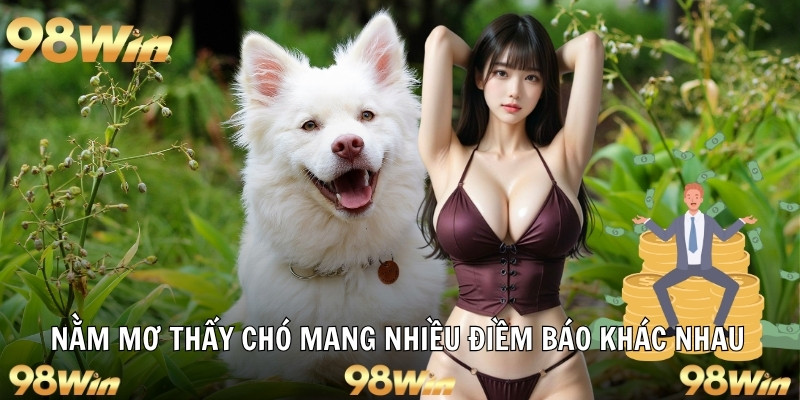 NẰM MƠ THẤY CHÓ - 98WIN GIẢI MÃ Ý NGHĨA VÀ DỰ ĐOÁN MAY MẮN 5 Nằm mơ thấy chó mang nhiều điềm báo khác nhau